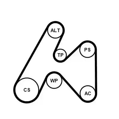 CONTINENTAL CTAM 6PK1660K3