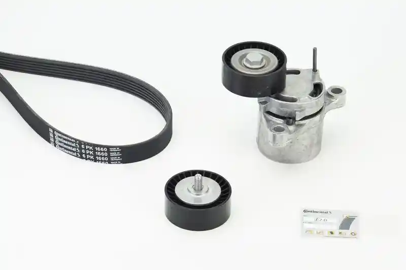 CONTINENTAL CTAM 6PK1660K5