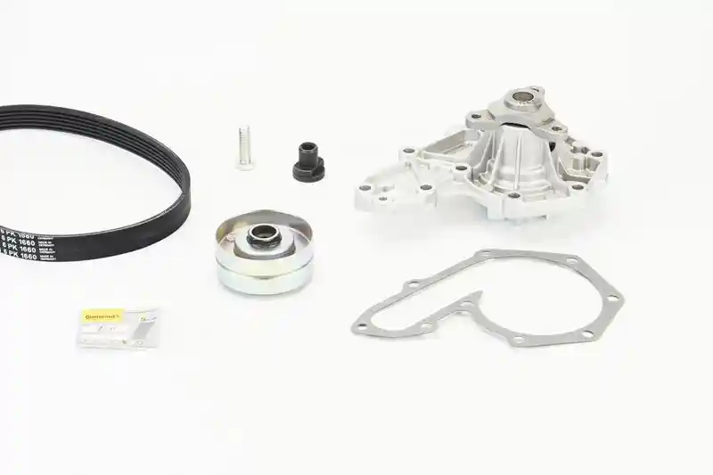 CONTINENTAL CTAM 6PK1660WP1