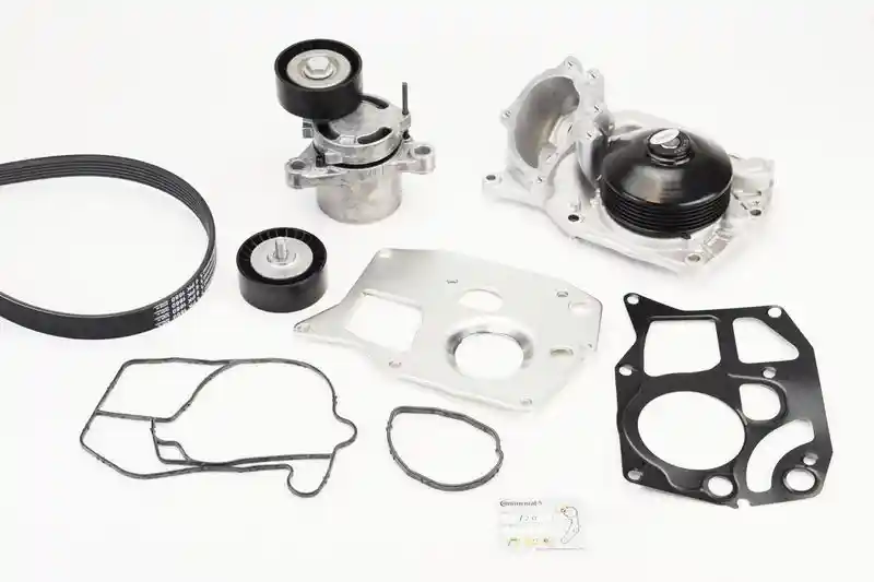 CONTINENTAL CTAM 6PK1660WP2