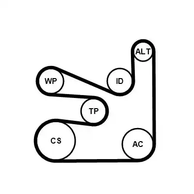 CONTINENTAL CTAM 6PK1660WP2