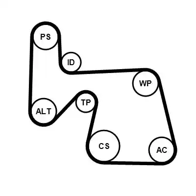 CONTINENTAL CTAM 6PK1670K1