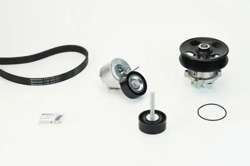 CONTINENTAL CTAM 6PK1670WP1