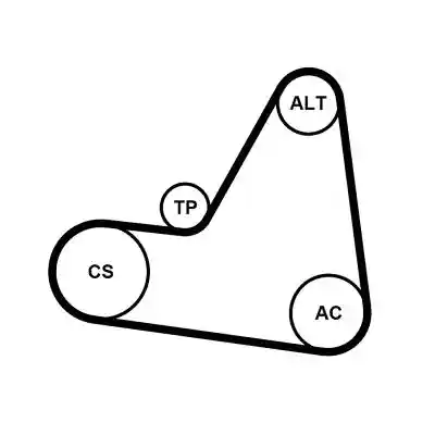 CONTINENTAL CTAM 6PK1680K1