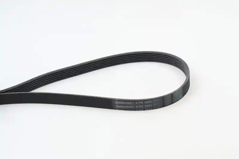 CONTINENTAL CTAM 6PK1693