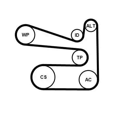 CONTINENTAL CTAM 6PK1693K1