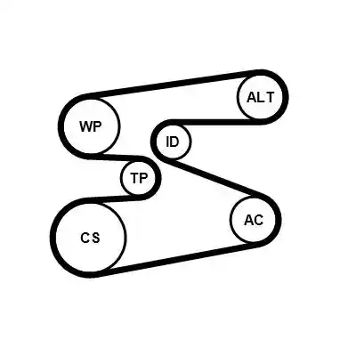 CONTINENTAL CTAM 6PK1698WP2