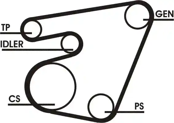 CONTINENTAL CTAM 6PK1715D1
