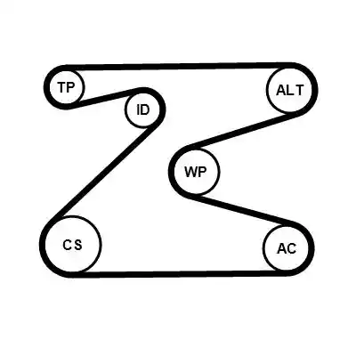 CONTINENTAL CTAM 6PK1715K2
