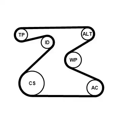 CONTINENTAL CTAM 6PK1715WP2