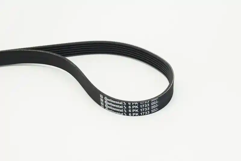 CONTINENTAL CTAM 6PK1733