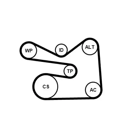 CONTINENTAL CTAM 6PK1733K3