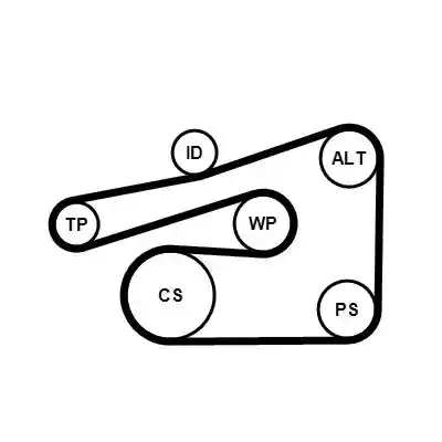 CONTINENTAL CTAM 6PK1733K4