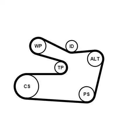 CONTINENTAL CTAM 6PK1733WP1