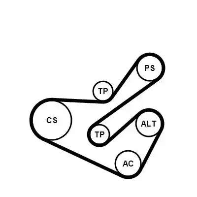 CONTINENTAL CTAM 6PK1740K1