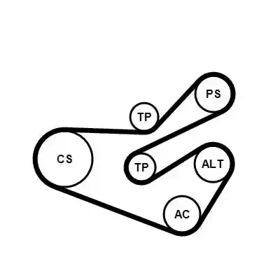 CONTINENTAL CTAM 6PK1740K3