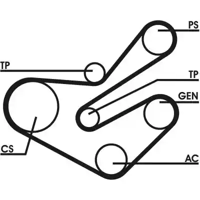 CONTINENTAL CTAM 6PK1750D2