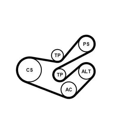 CONTINENTAL CTAM 6PK1750K3