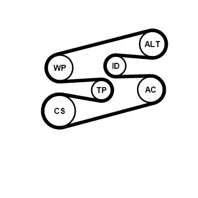 CONTINENTAL CTAM 6PK1780K2