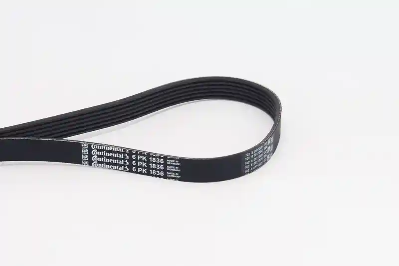 CONTINENTAL CTAM 6PK1836