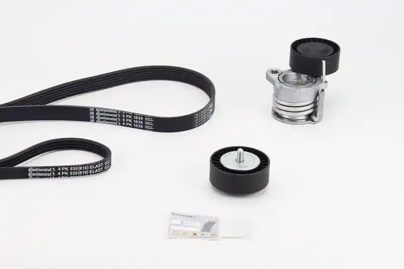 CONTINENTAL CTAM 6PK1836K1