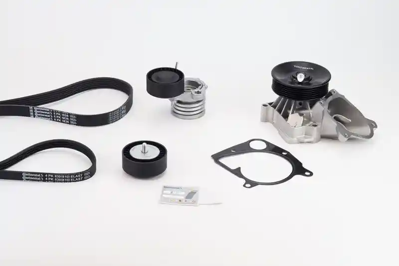 CONTINENTAL CTAM 6PK1836WP1