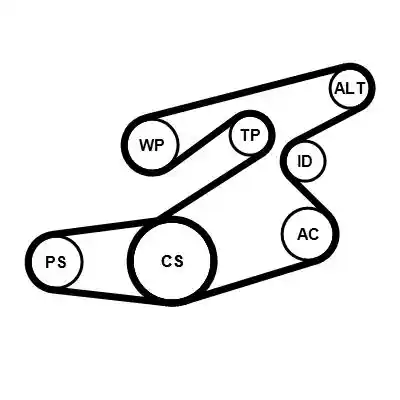 CONTINENTAL CTAM 6PK1836WP1