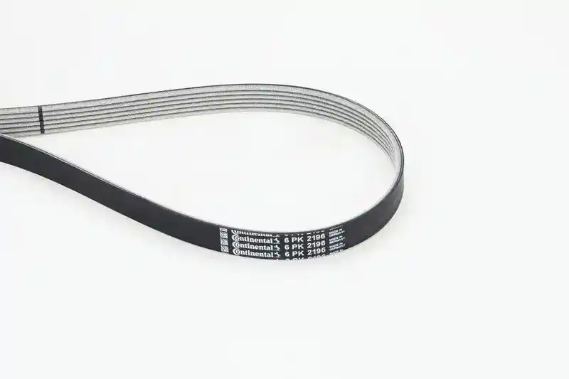 CONTINENTAL CTAM 6PK2196