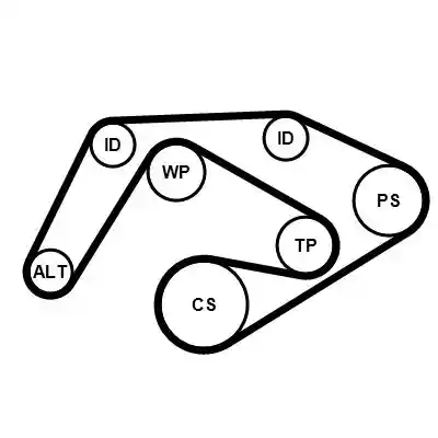CONTINENTAL CTAM 6PK2196K3