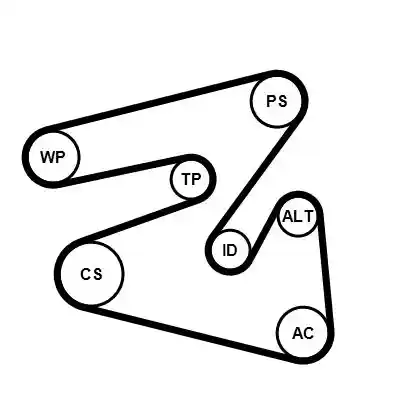 CONTINENTAL CTAM 6PK2196K4