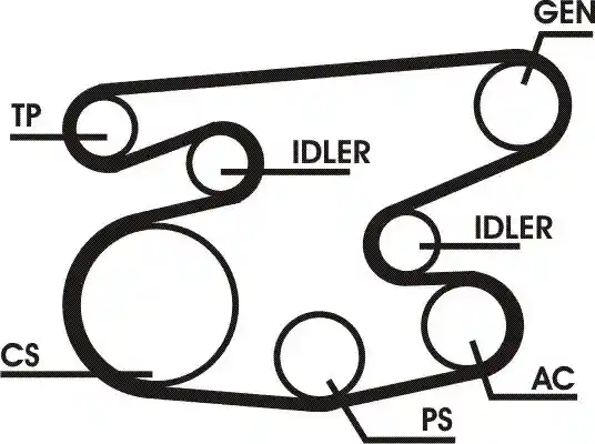 CONTINENTAL CTAM 6PK2215D1