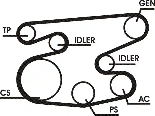 CONTINENTAL CTAM 6PK2236D1