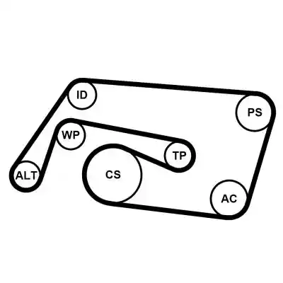 CONTINENTAL CTAM 6PK2260K2