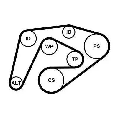CONTINENTAL CTAM 6PK2260WP1