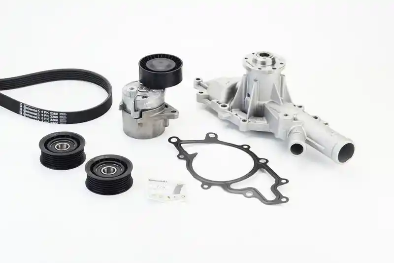 CONTINENTAL CTAM 6PK2260WP2