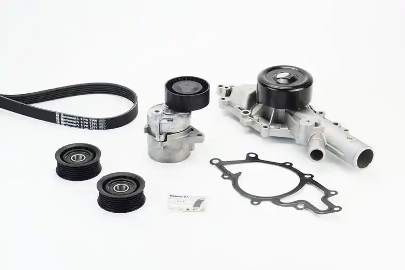 CONTINENTAL CTAM 6PK2260WP3