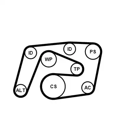 CONTINENTAL CTAM 6PK2260WP3