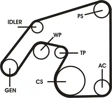 CONTINENTAL CTAM 6PK2271D1