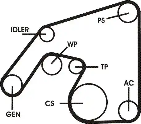 CONTINENTAL CTAM 6PK2271D2