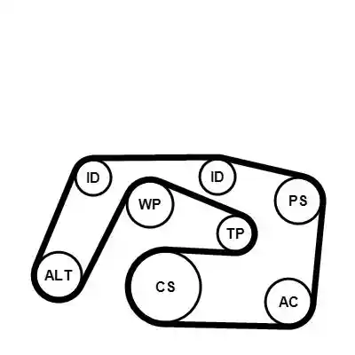 CONTINENTAL CTAM 6PK2271WP1