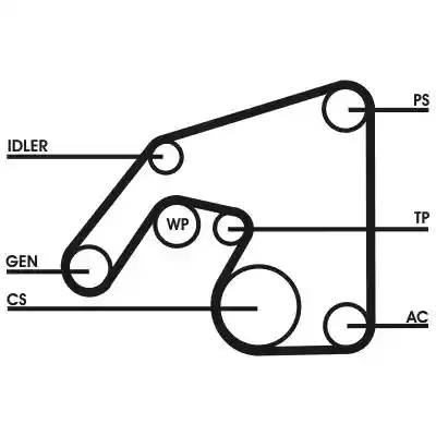 CONTINENTAL CTAM 6PK2380D1