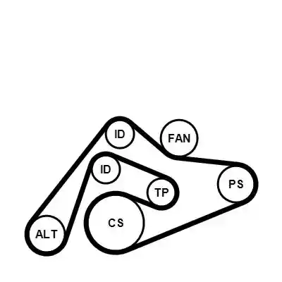 CONTINENTAL CTAM 6PK2404K1