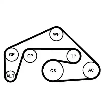 CONTINENTAL CTAM 6PK2415K1