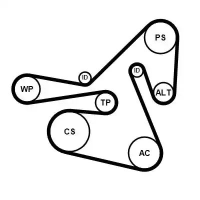 CONTINENTAL CTAM 6PK2415K2