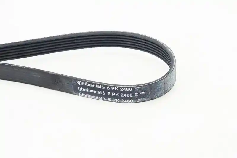 CONTINENTAL CTAM 6PK2460