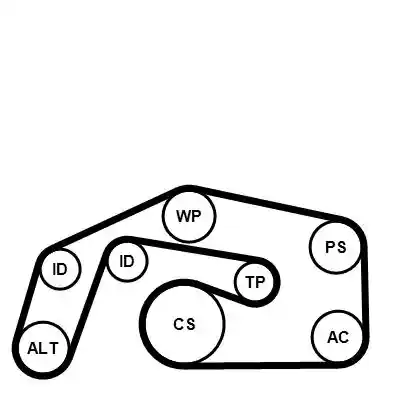 CONTINENTAL CTAM 6PK2460K2