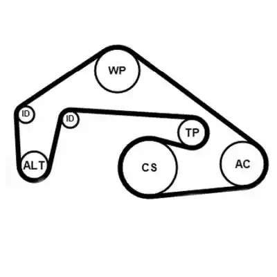 CONTINENTAL CTAM 6PK2460WP1