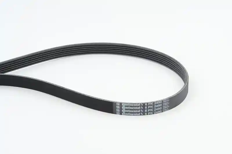 CONTINENTAL CTAM 6PK2490