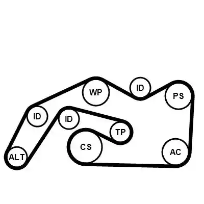 CONTINENTAL CTAM 6PK2490K1