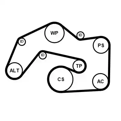 CONTINENTAL CTAM 6PK2523K1